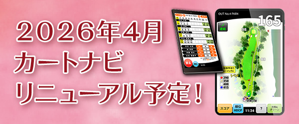 カートナビ画像